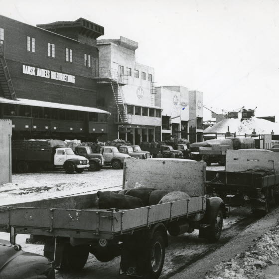 Dansk Andels Kulforretning