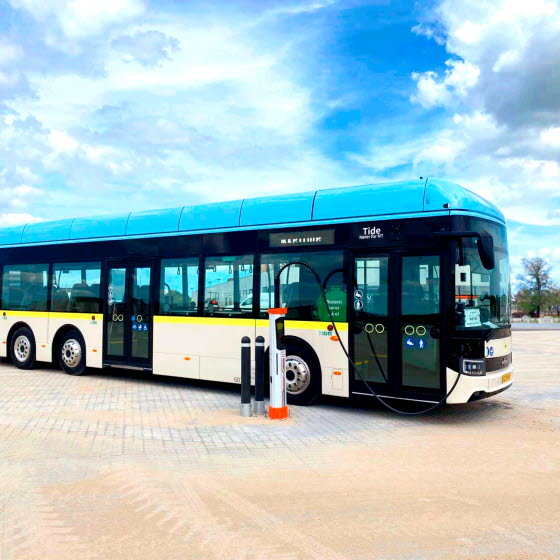 Elbus