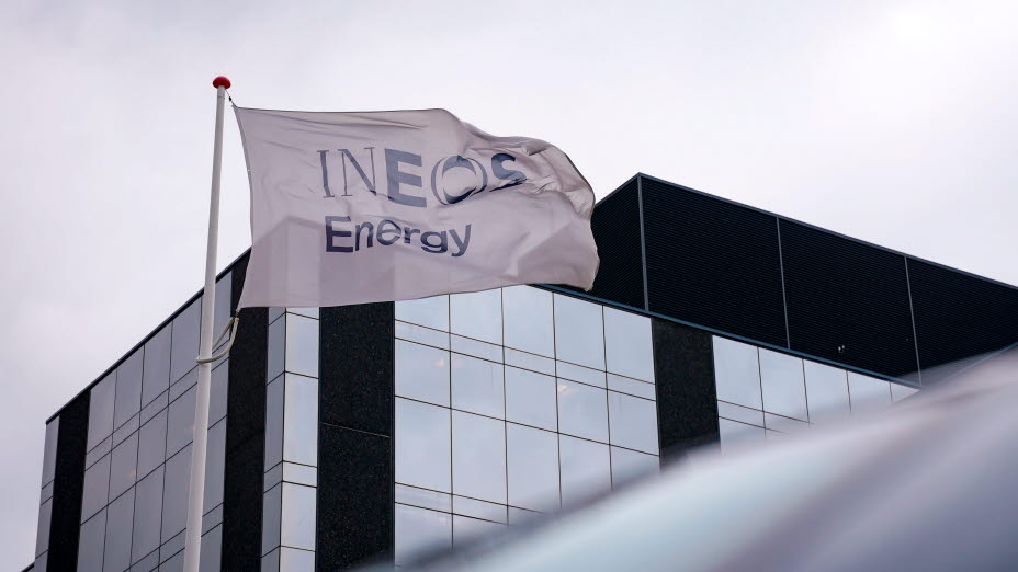 Flag ved INESO-bygning