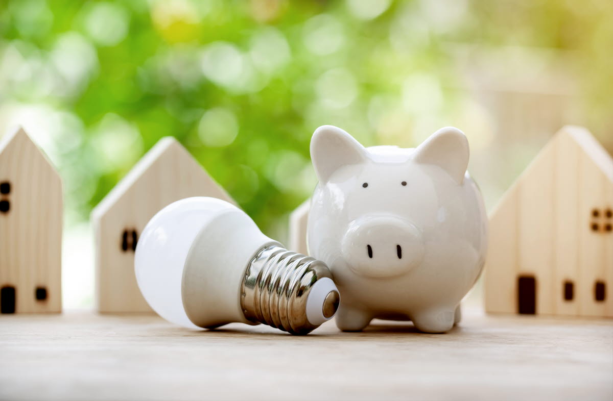 Elsparepære og hvid sparegris