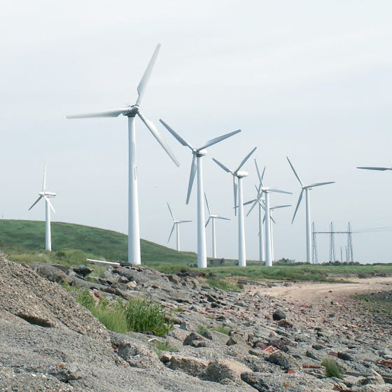 Vindmøller på række ved strand