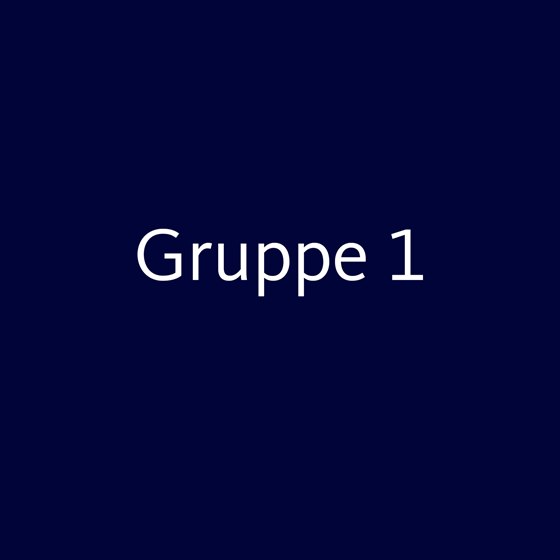 Gruppe 1