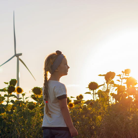 Pige står i solsikkemark med vindmølle