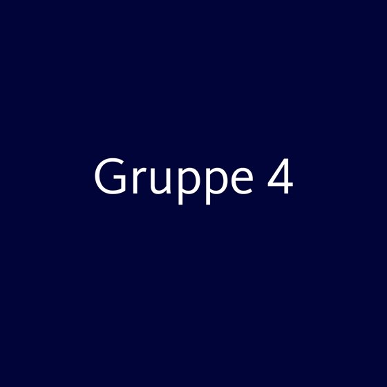 Gruppe 4