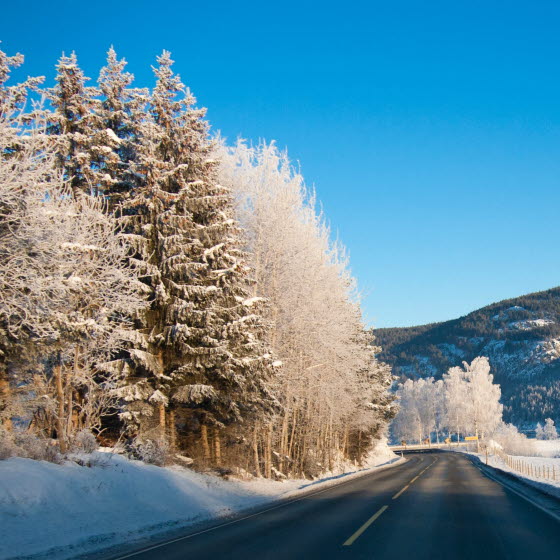 Vej med sne og bjerge