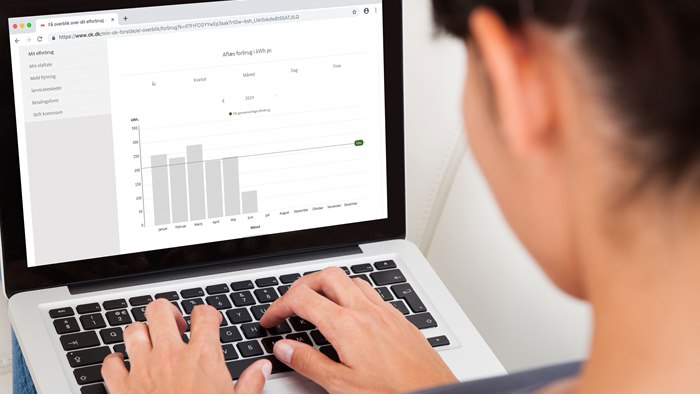 Visning af elforbrug på selvbetjeningen Min OK på en laptop