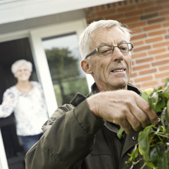 Ældre mand i færd med at beskære en busk