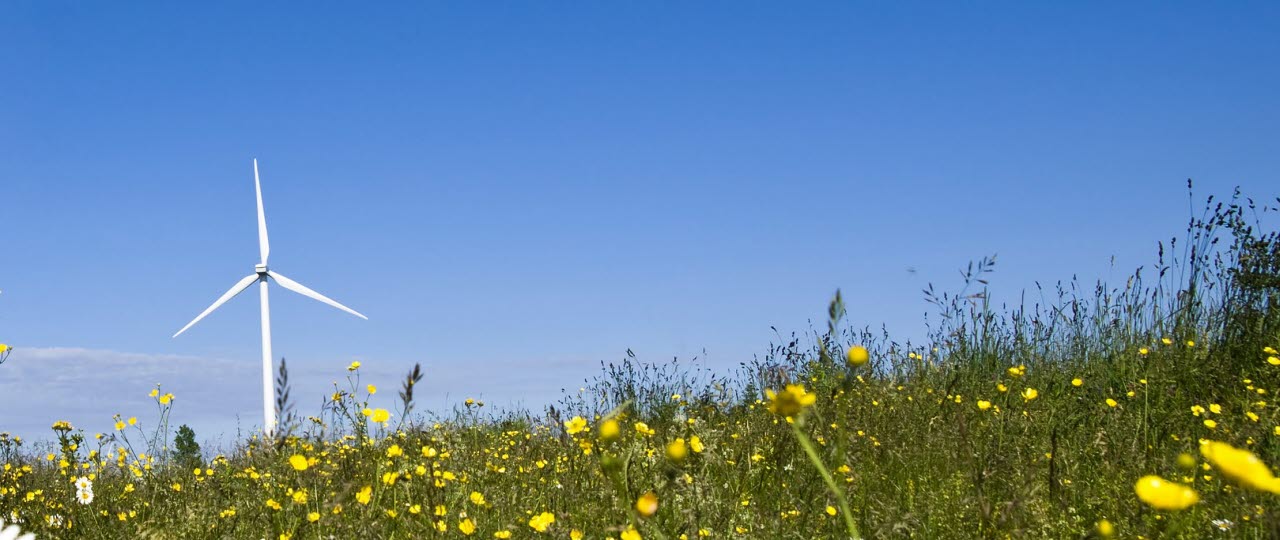 Vindmølle på blomstrende eng