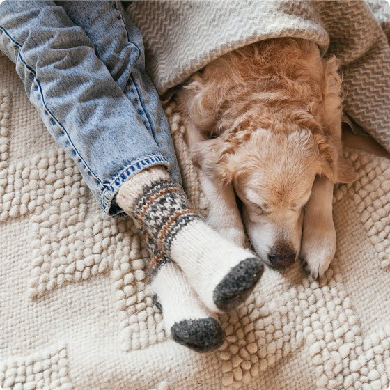 Person sidder på tæppe med en hund