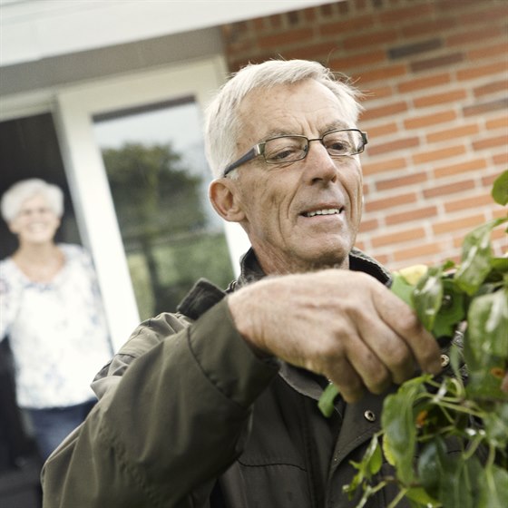 Ældre mand i færd med at beskære en busk