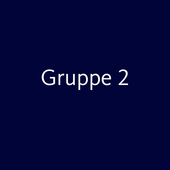 Gruppe 2