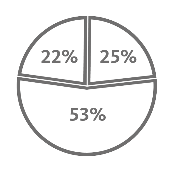 Cirkeldiagram naturgaspris
