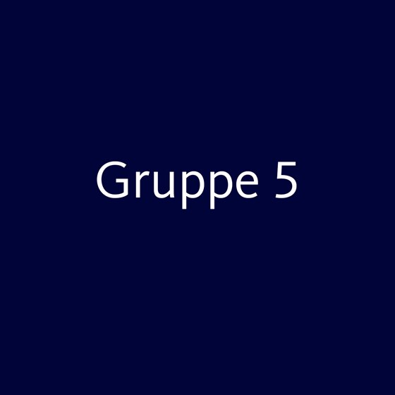 Gruppe 5