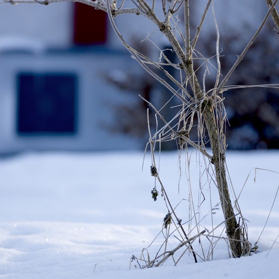 Have med sne med sløret varmepumpe i baggrunden